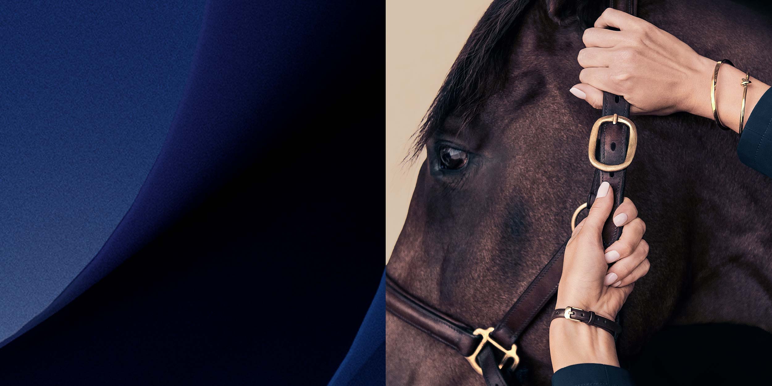 Inspiring What’s Next