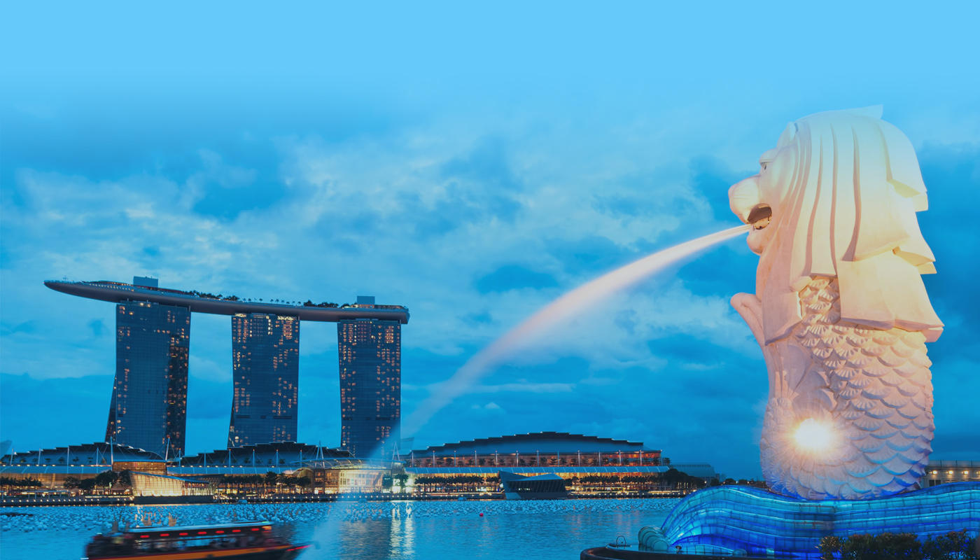 MainBanner  We have designed for